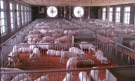 1574156023800323.png HR{}4CRL1VPE~2F[T6MNXYV.png