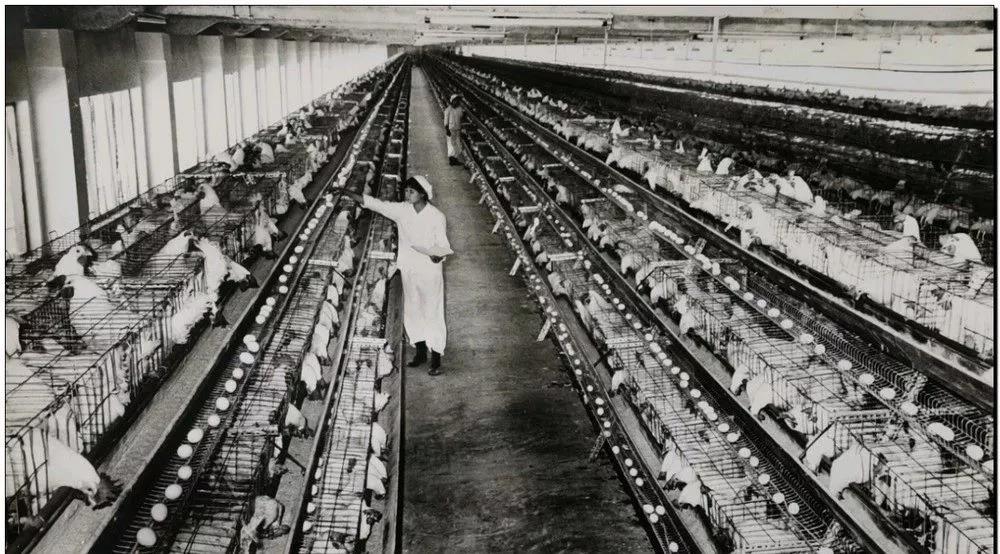 1621560848861783.jpg 1621560848861783.jpg