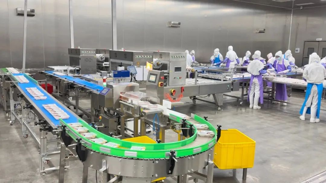 1710293665207631.jpg 1710293665207631.jpg